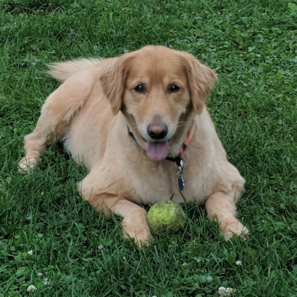 Alanna's Poshmark Closet  *Like this post! - Picture 6 of 8